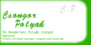 csongor polyak business card